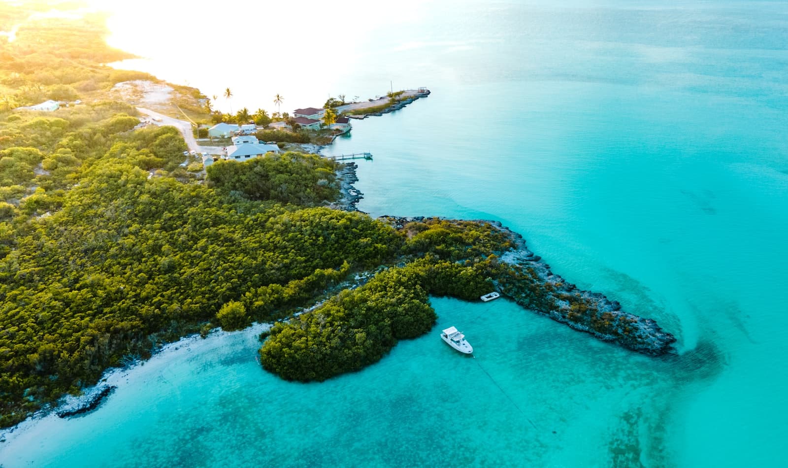 the swimming pigs of Exuma