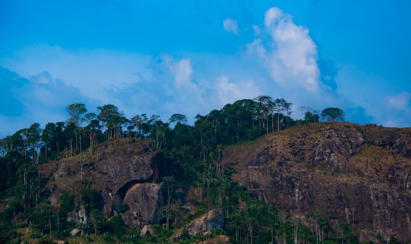 Mount Cameroon above Buea