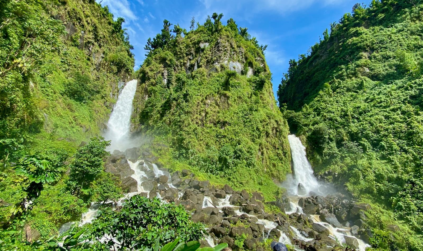 rainforest gorge at Trafalgar Falls