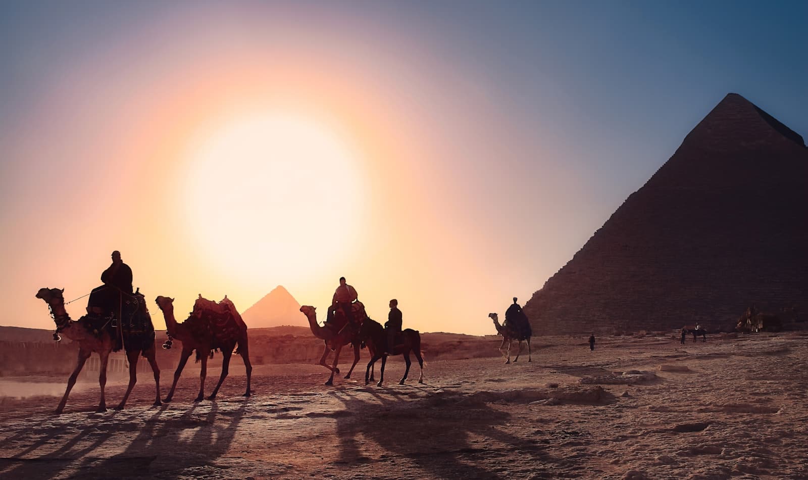 camel trains at Giza