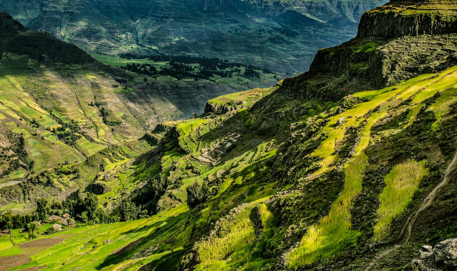 the rock churches of Lalibela