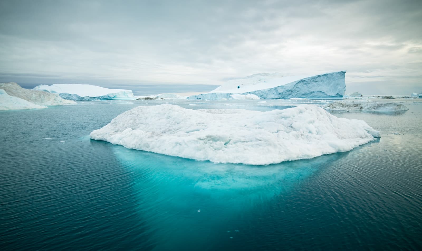icebergs off Ilulissat