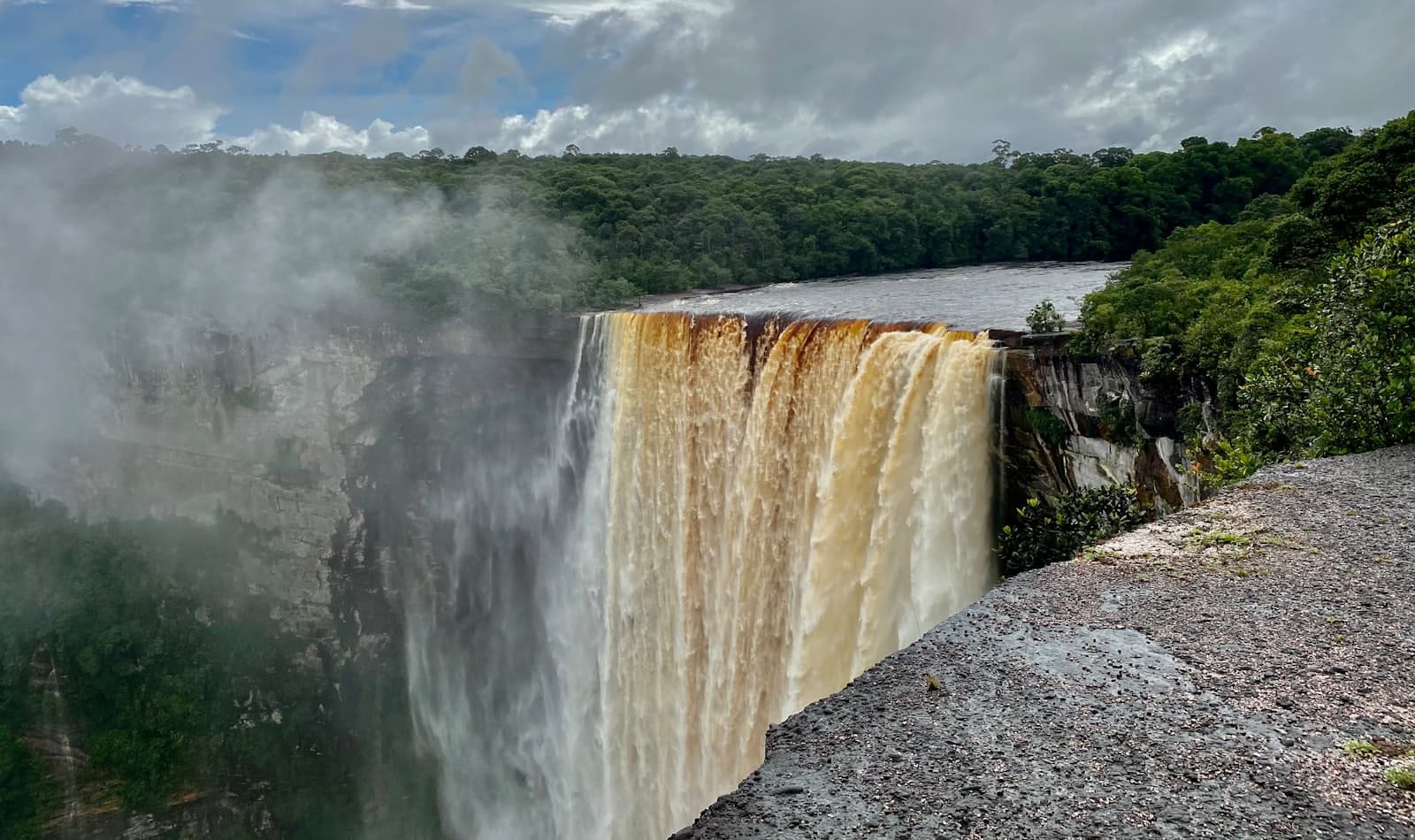 Kaieteur Falls in the rainforest