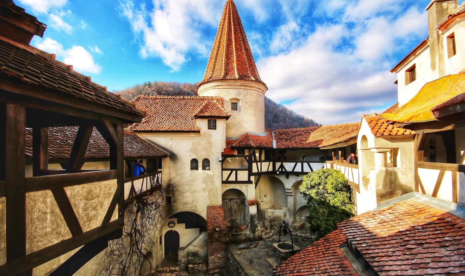 Bran Castle in the Carpathians
