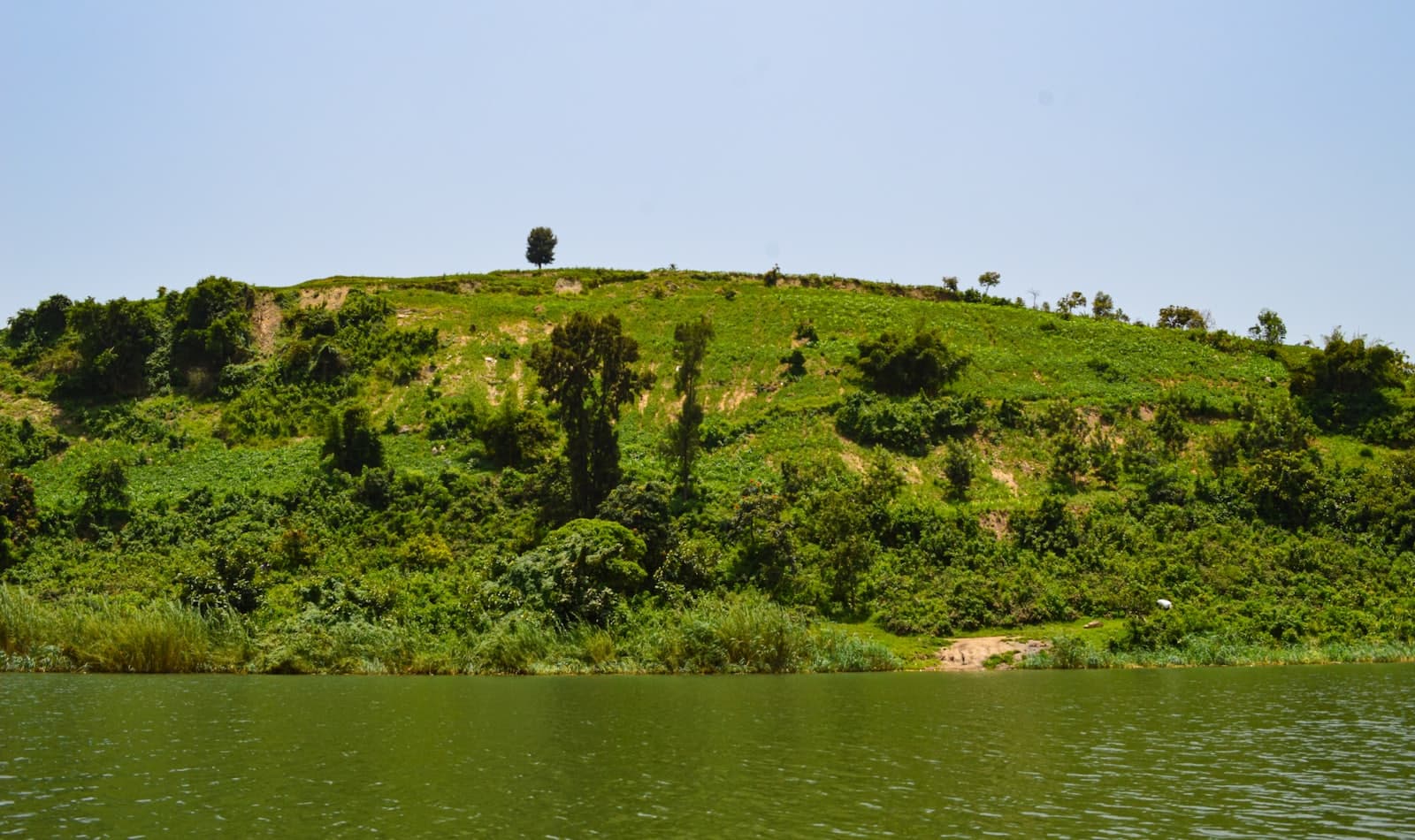 terraced hills of the north