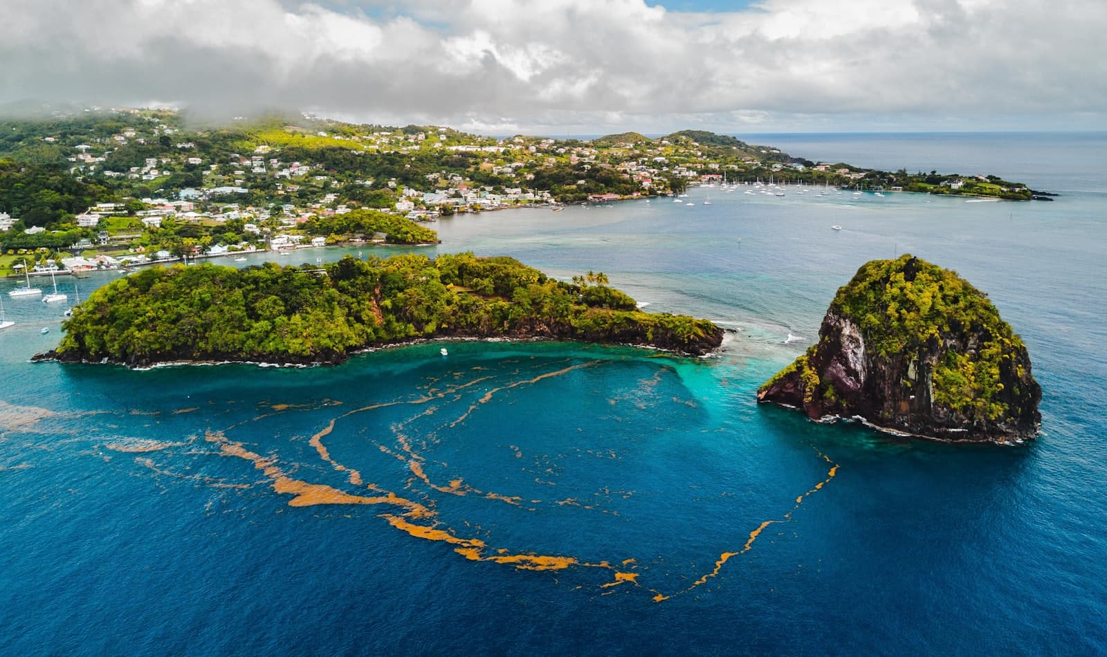 sails through the Grenadines